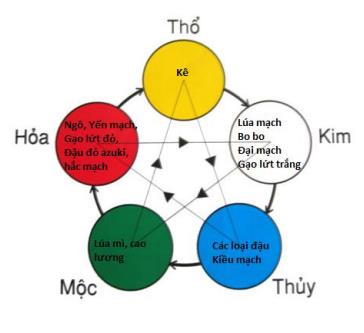 nguhanhvasuckhoe-td3+++