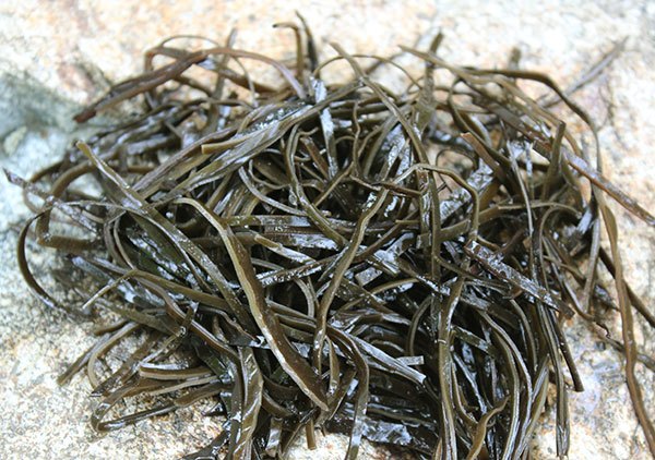 seaweed arame