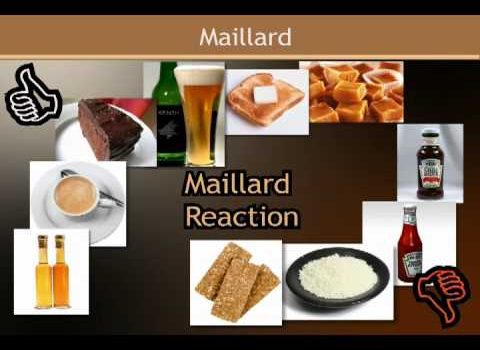 Phản Ứng Maillard Tạo Mùi Vị