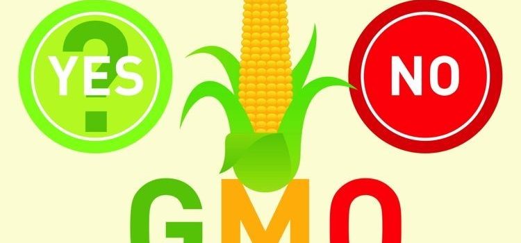 Hiểu Về GMO Và Thực Phẩm Biến Đổi Gene – Kỳ 1: GMO Là Gì?