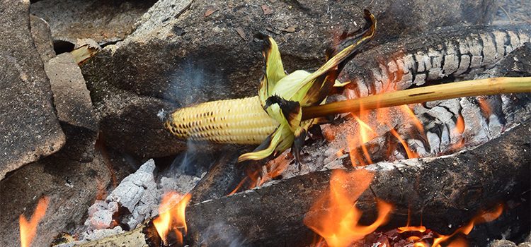 Ngô Khoai Sắn Và Cơm Độn