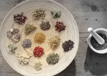 Thảo Dược vs. Thực Phẩm Chức Năng
